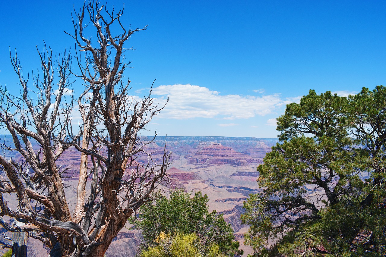 grand canyon landscape mountains free photo