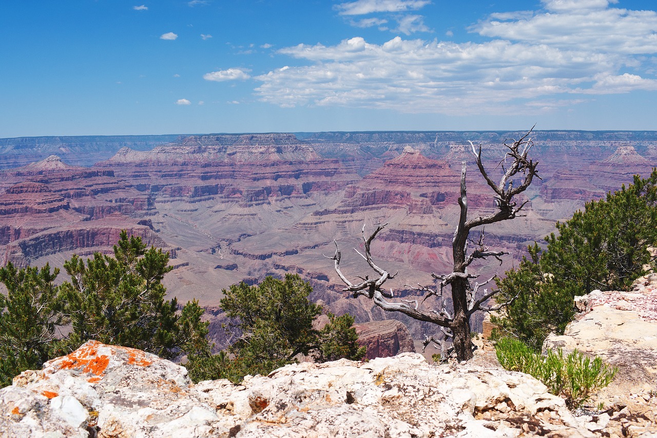 grand canyon landscape mountains free photo