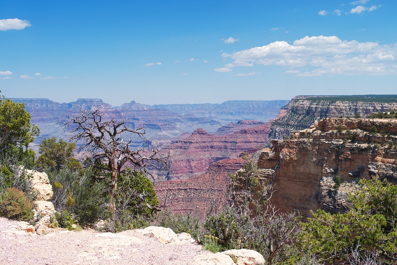 grand canyon landscape mountains free photo