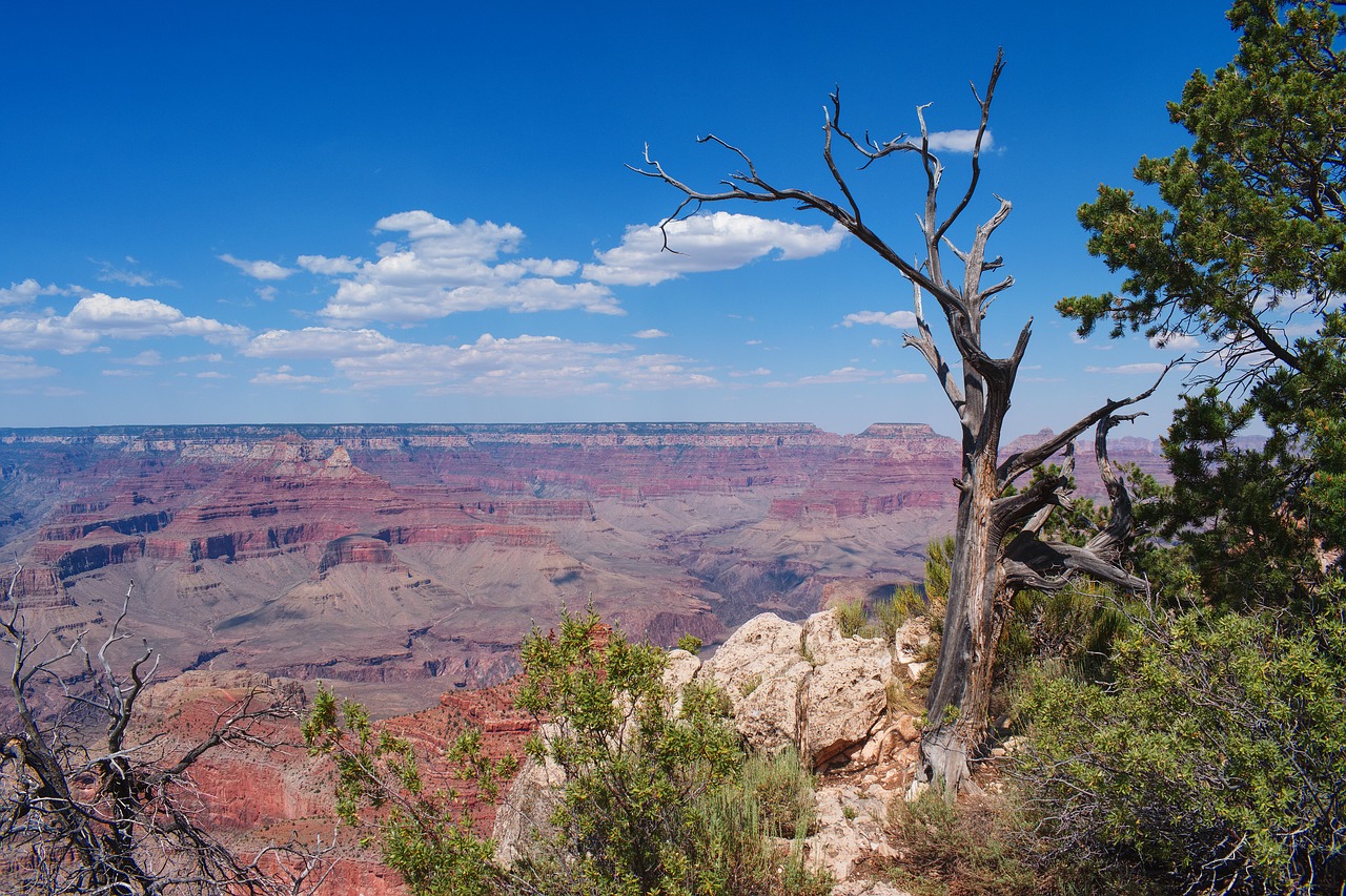 grand canyon landscape mountains free photo