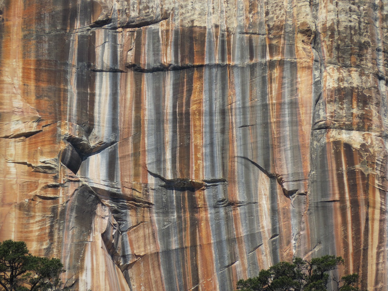 grand canyon north rim colorful free photo