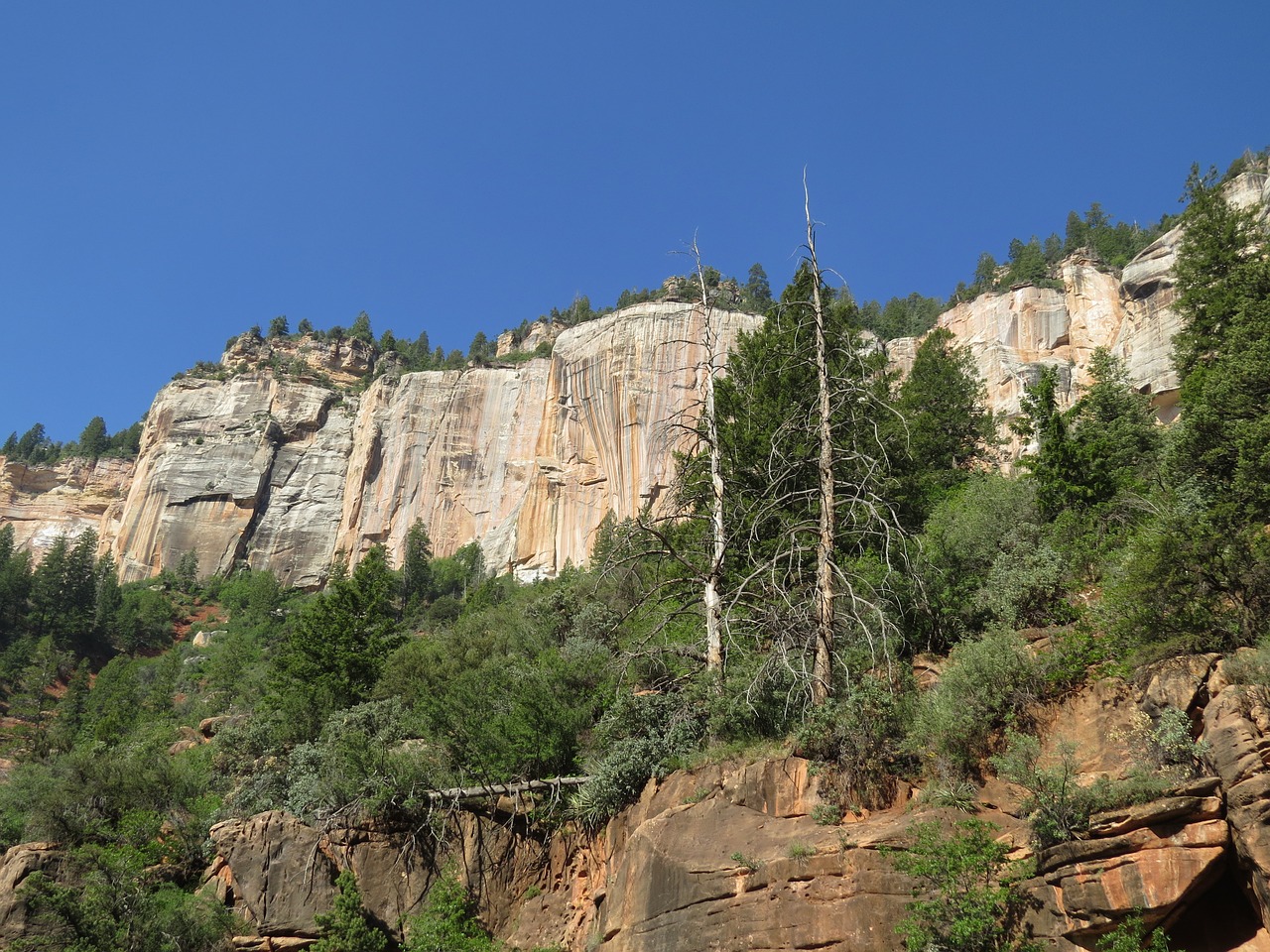 grand canyon north rim rock face free photo