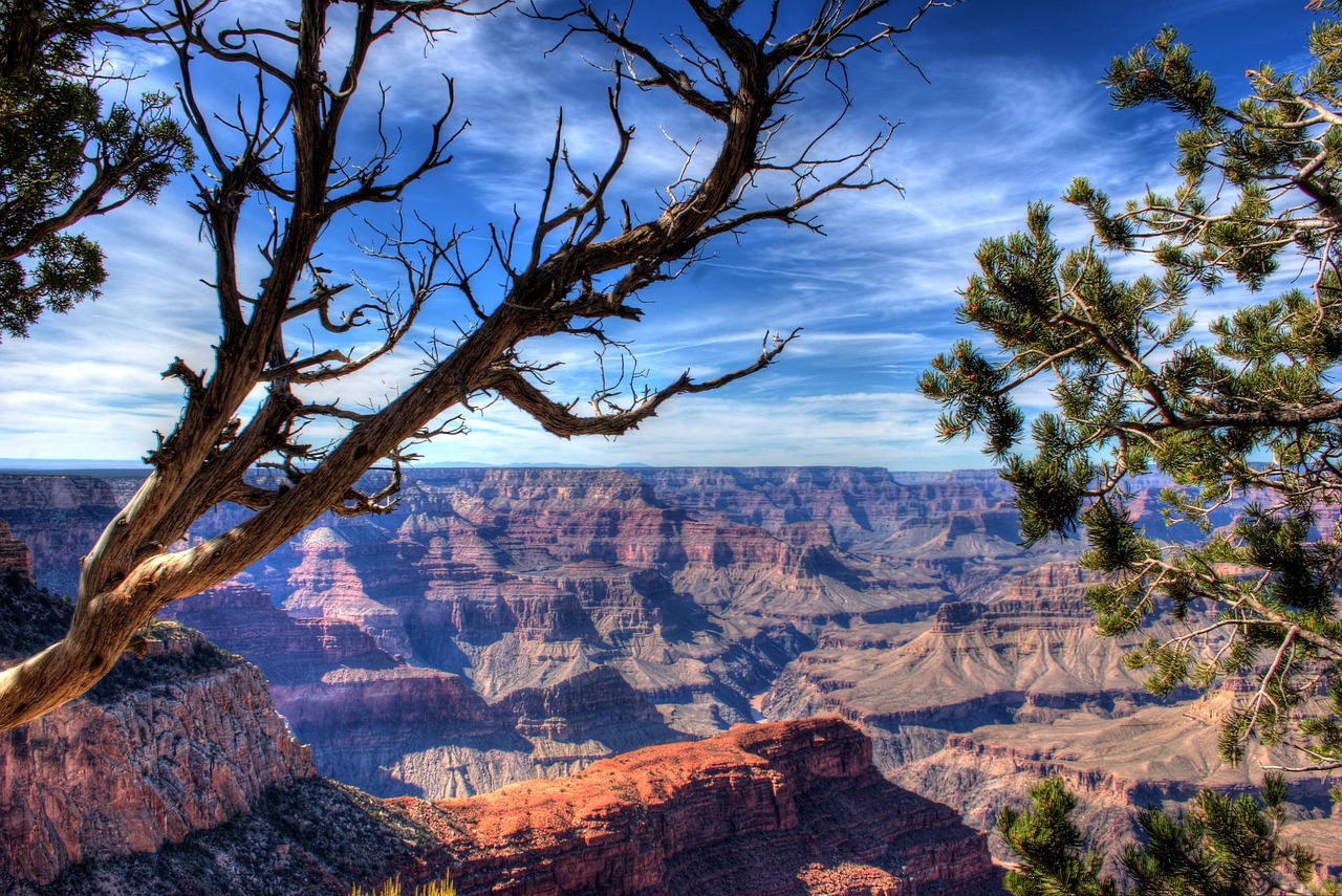 grand canyon canyon arizona free photo