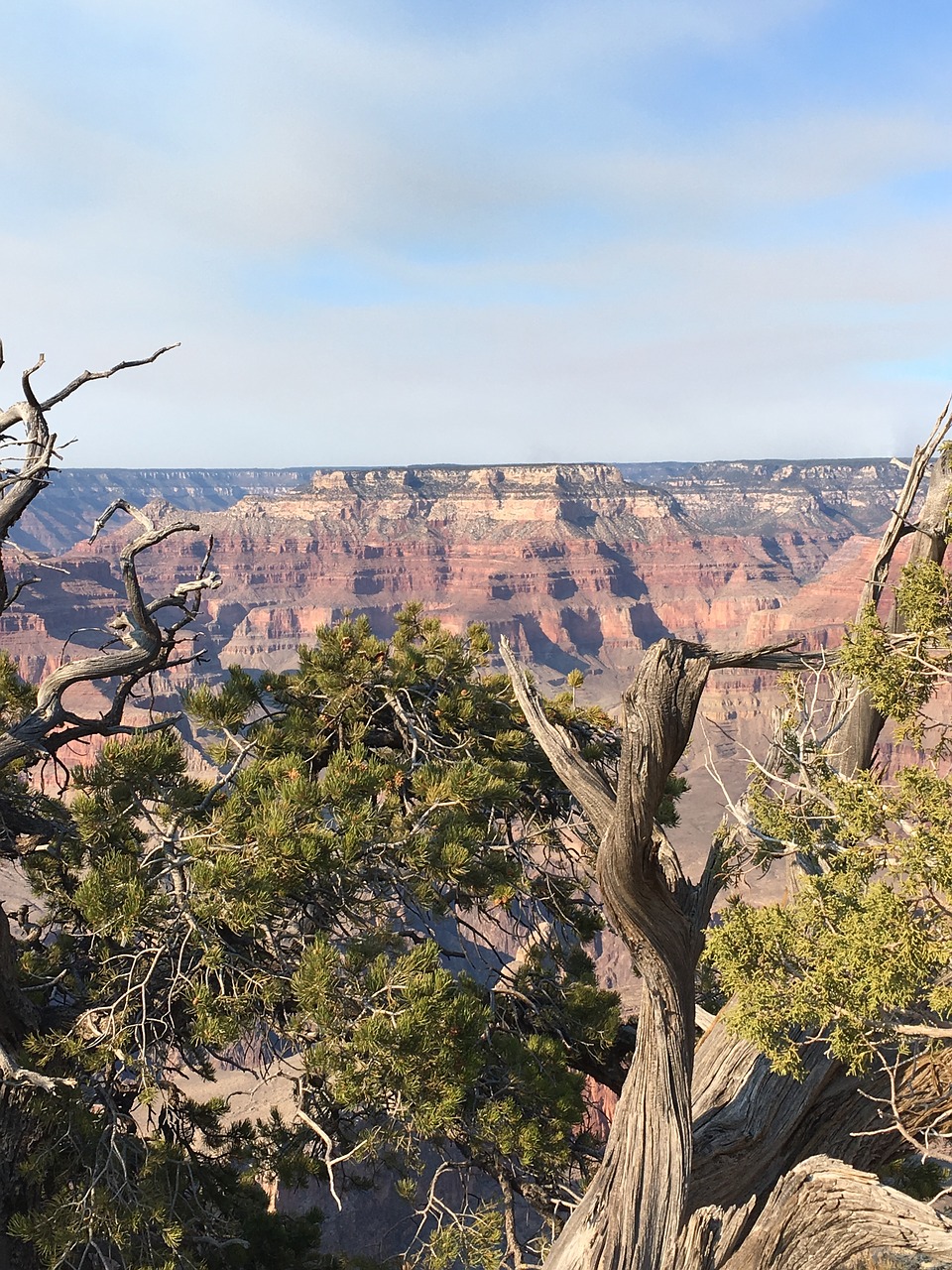 grand canyon travel arizona free photo