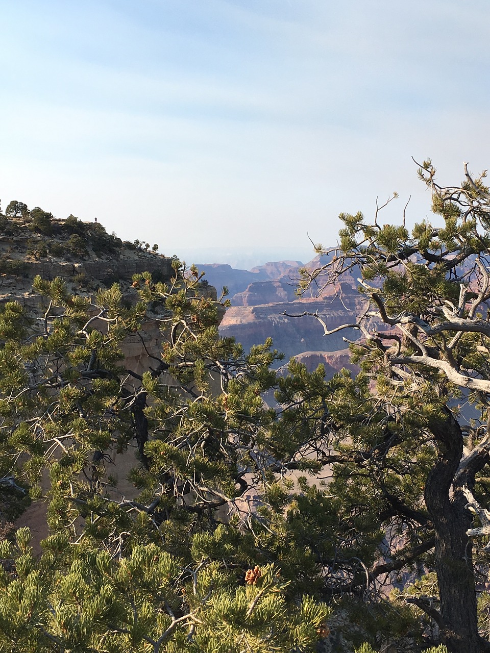 grand canyon  fall  arizona free photo