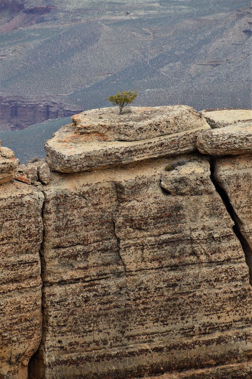 grand canyon  rocks  nature free photo