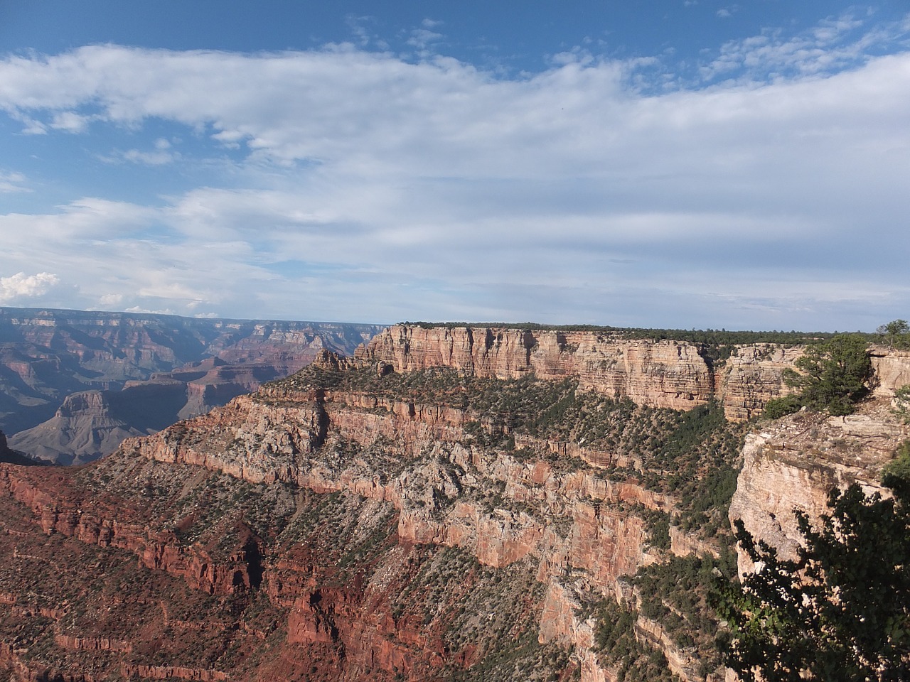 grand canyon national parks canyon free photo