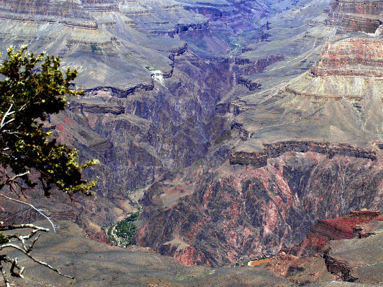 grand canyon colorado river water free photo