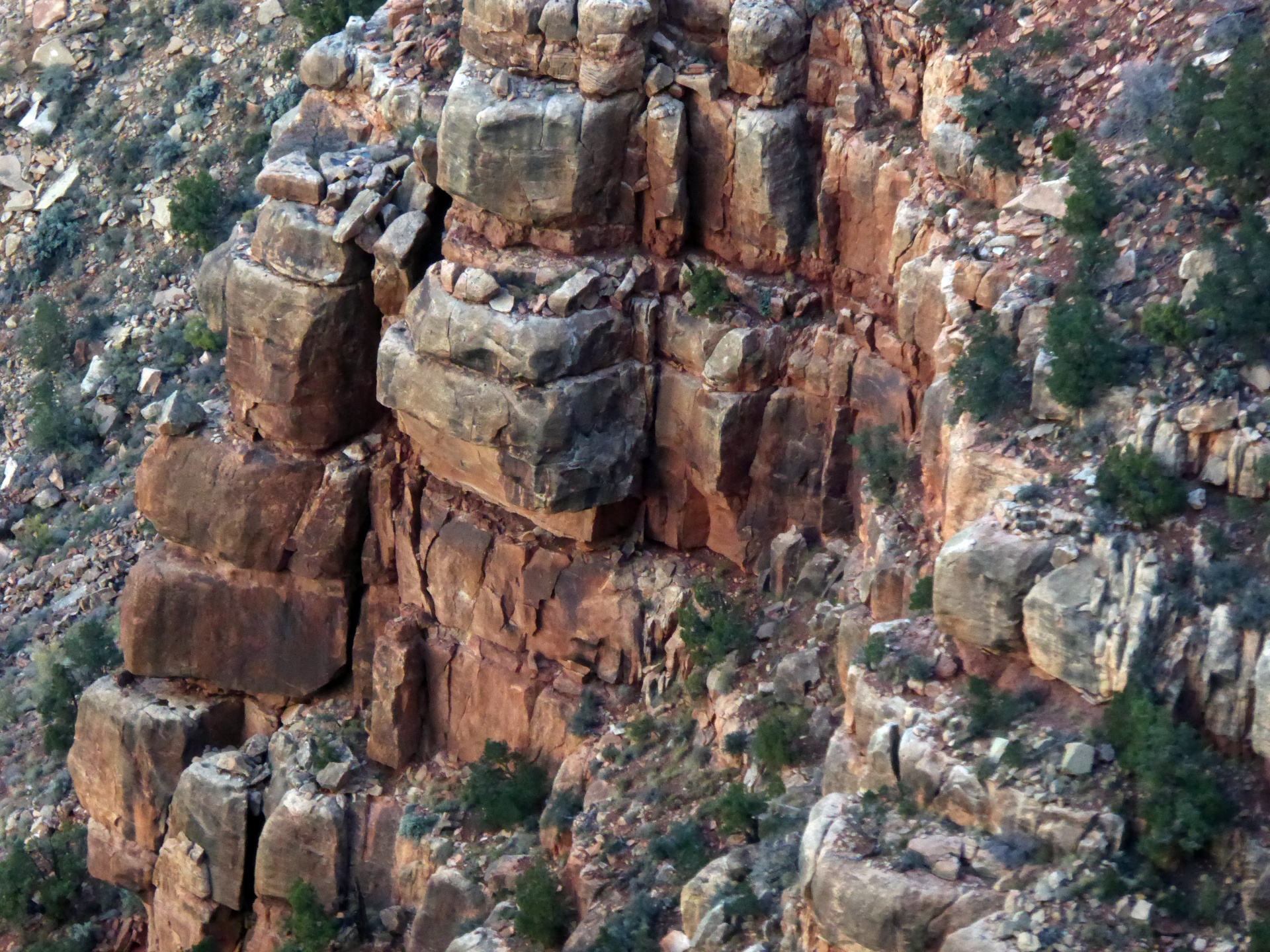 arizona grand canyon free free photo