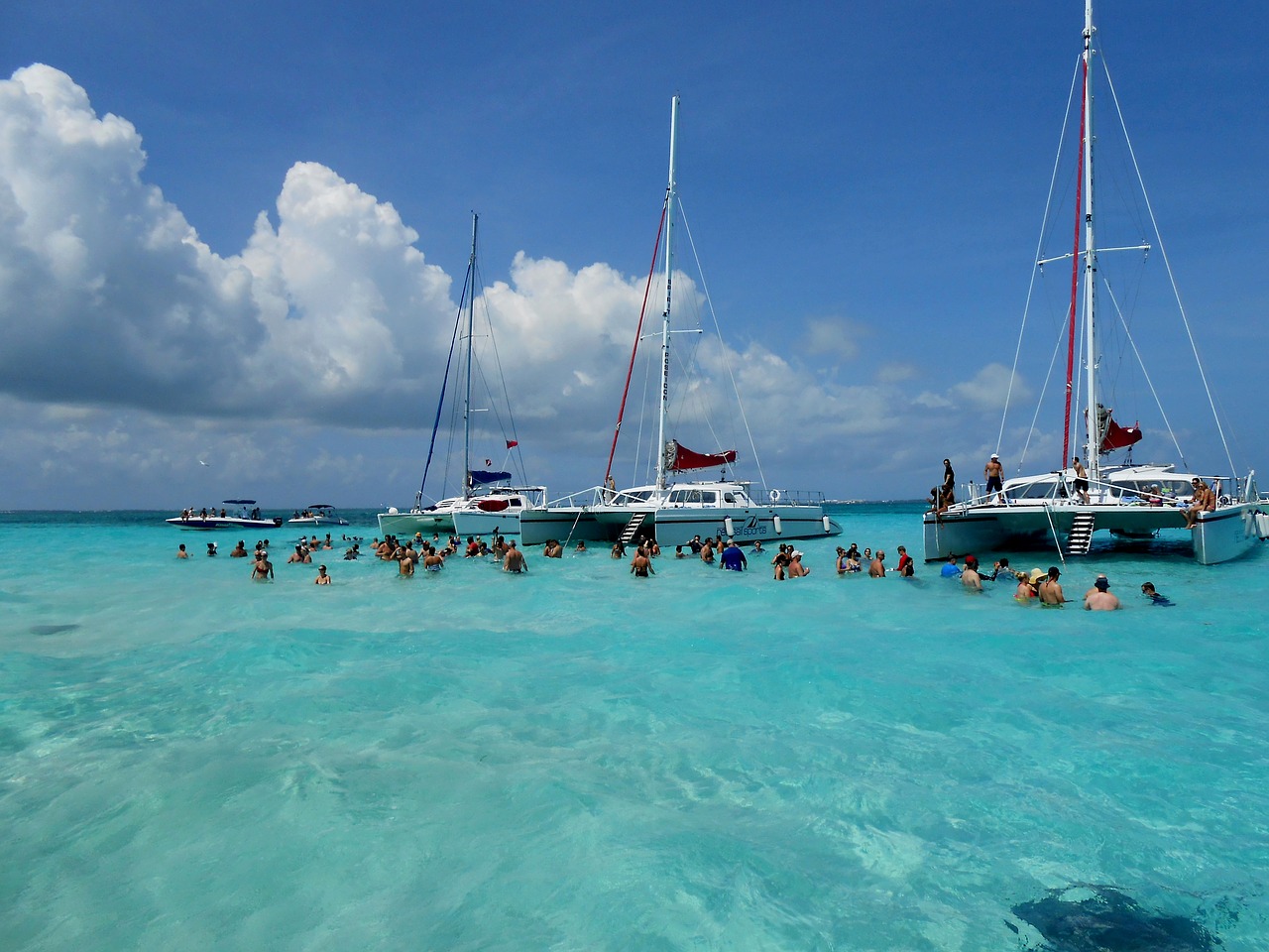 grand cayman cayman islands stingray city free photo