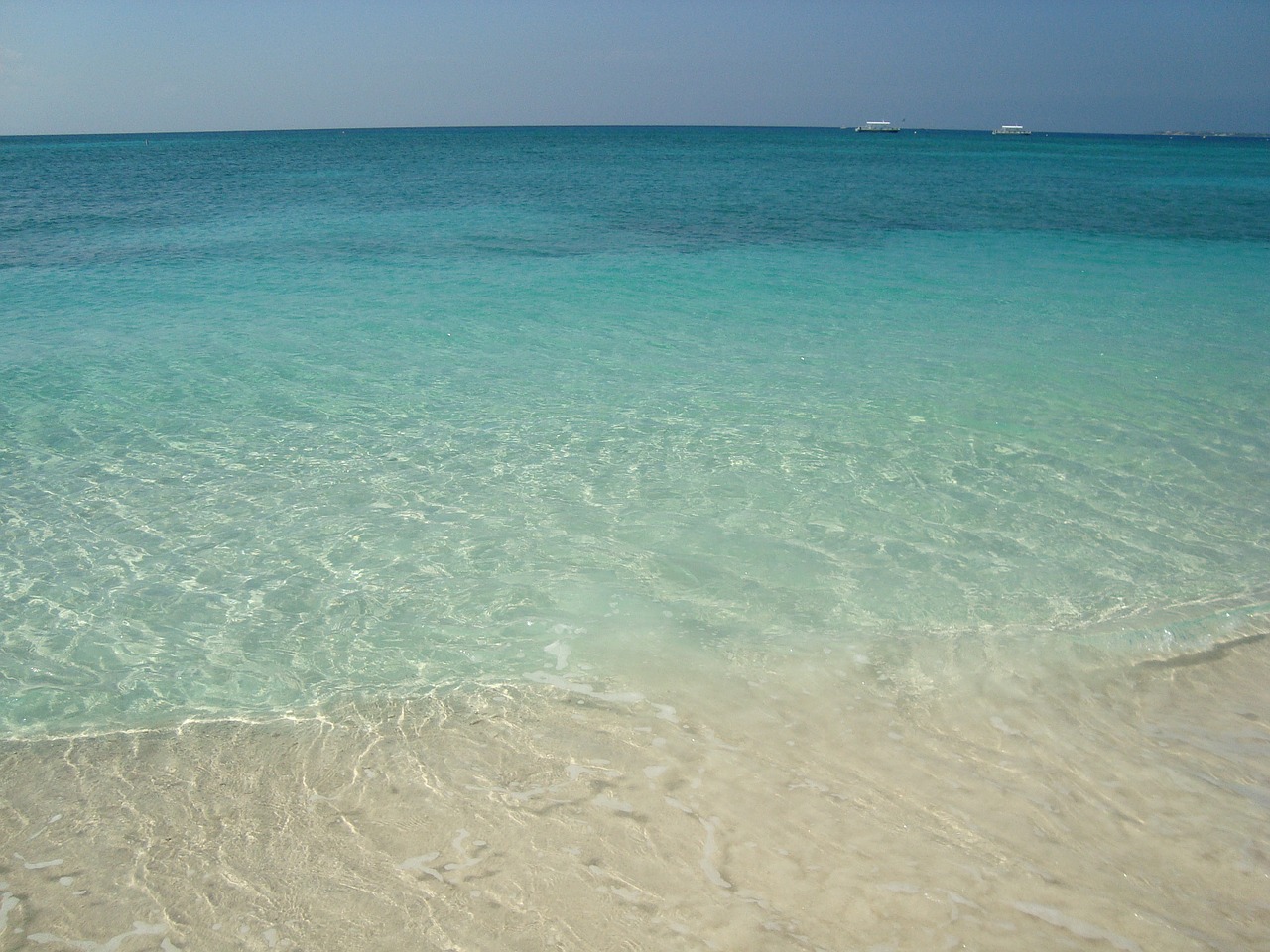 grand cayman beach sea free photo