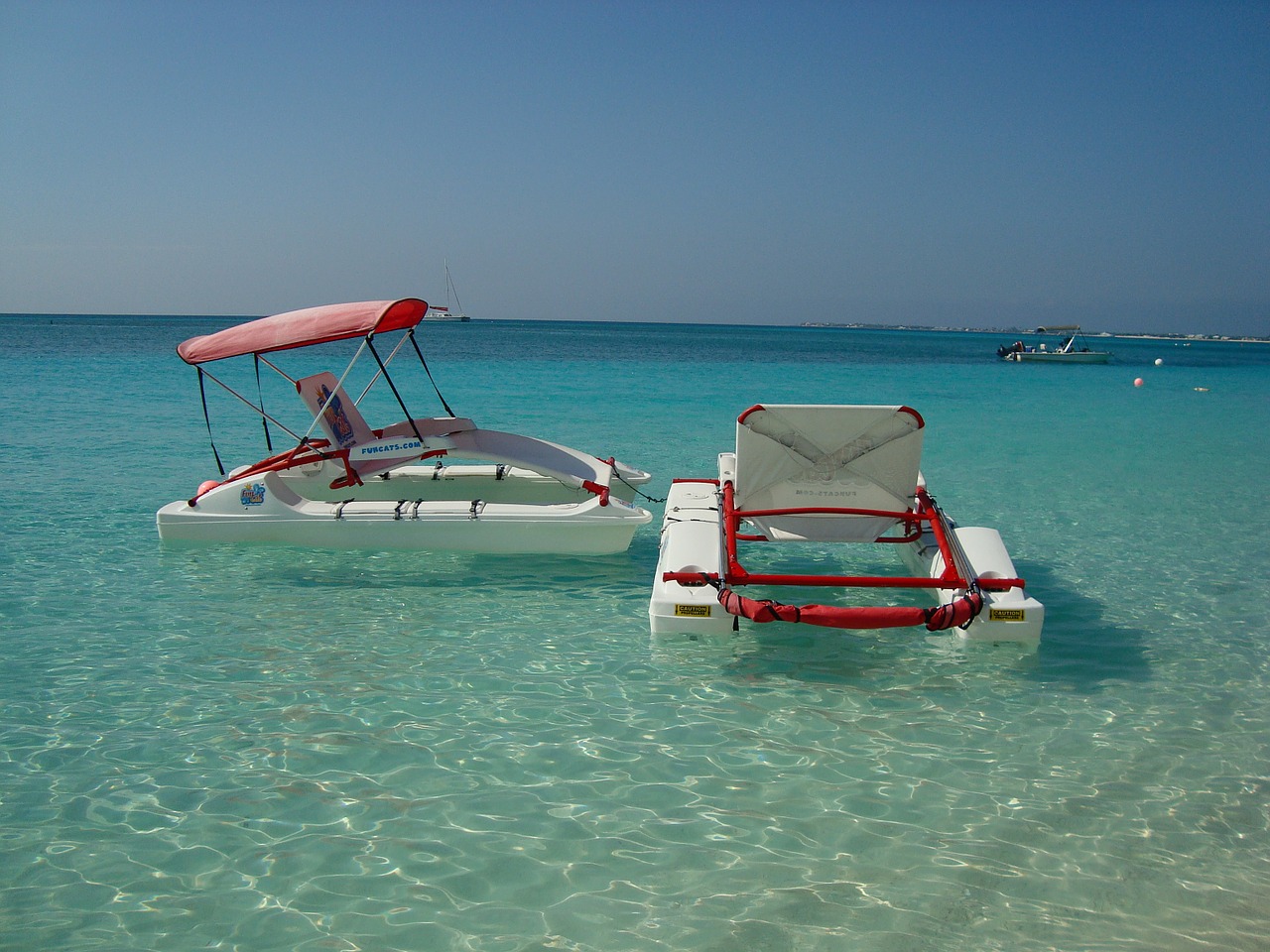 grand cayman sea beach free photo