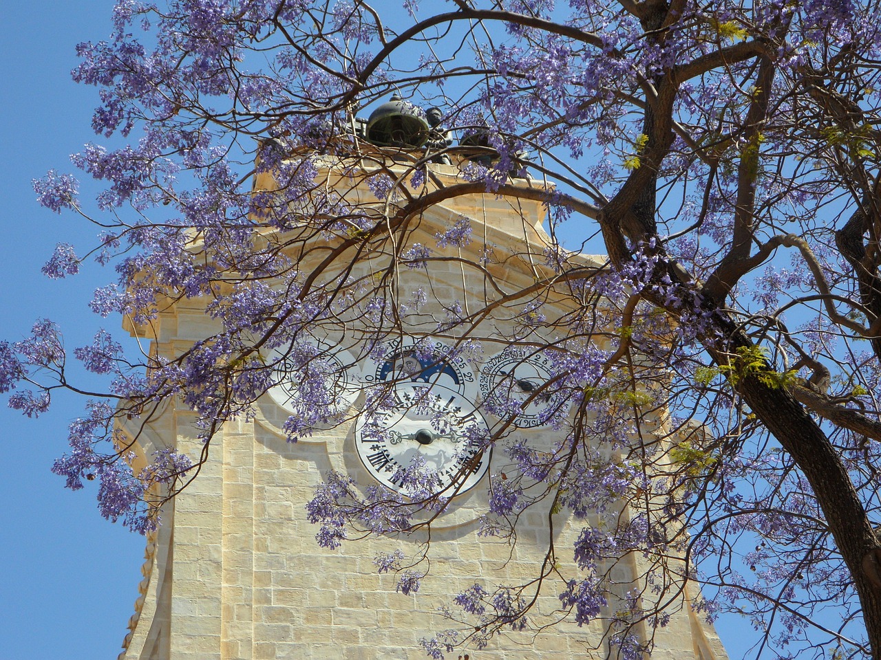 grand master's palace tower clock free photo