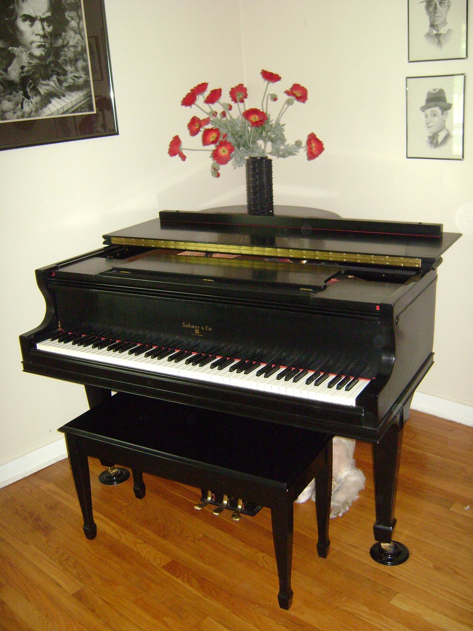 grand piano instrument keyboard free photo