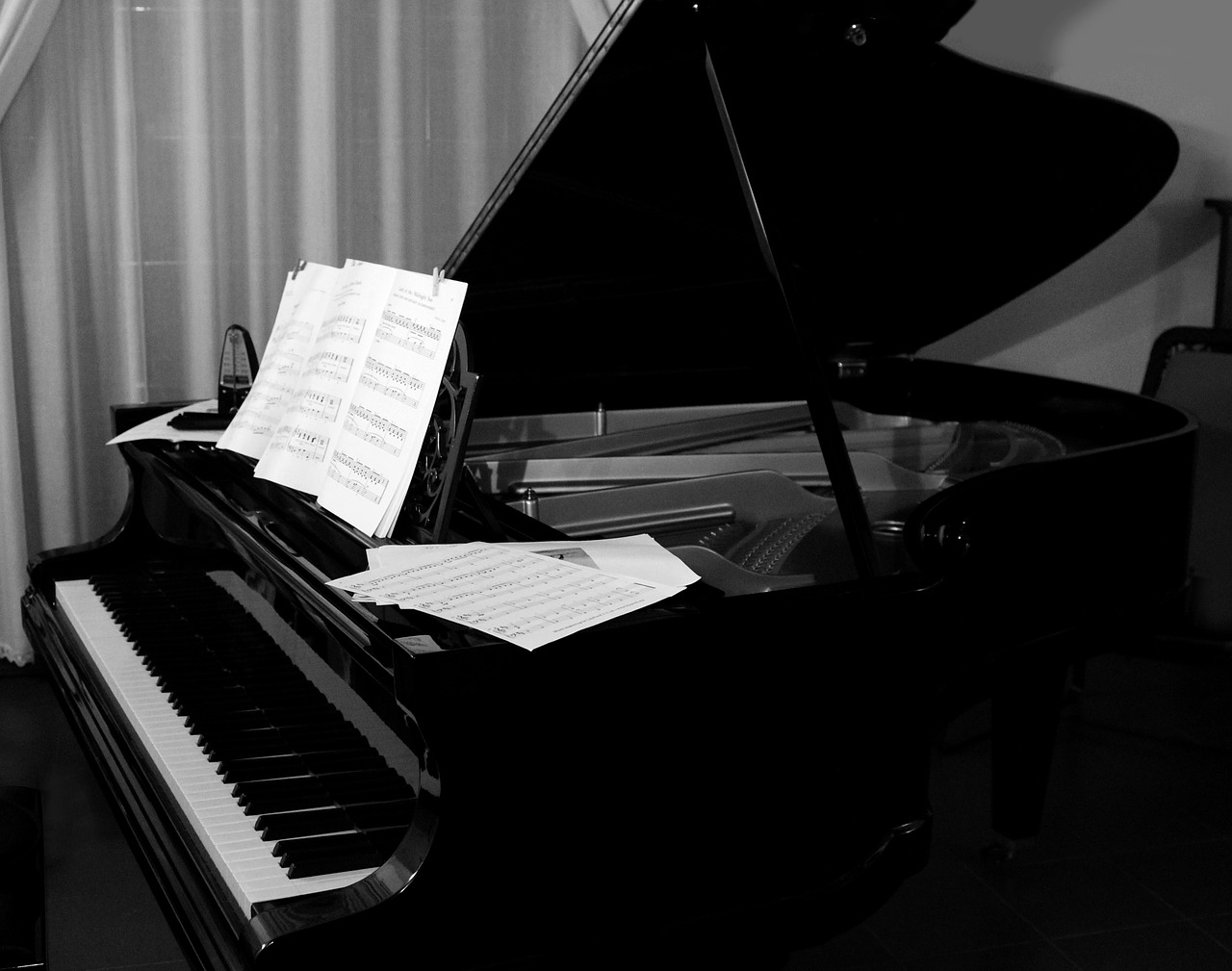 grand piano plan keyboard free photo