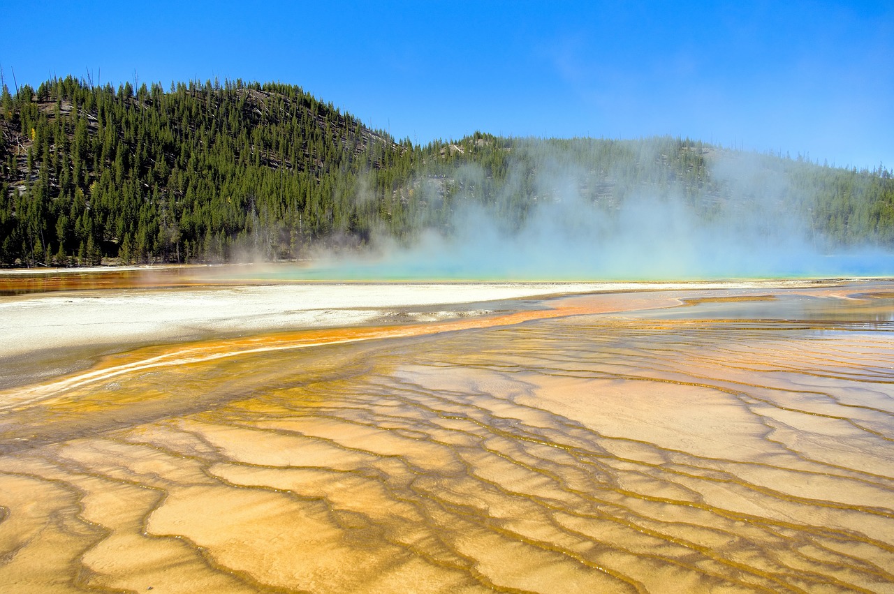 grand prismatic bacterial mat  thermal  spring free photo
