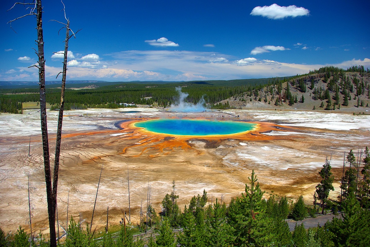 grand prismatic from overlook  thermal  spring free photo