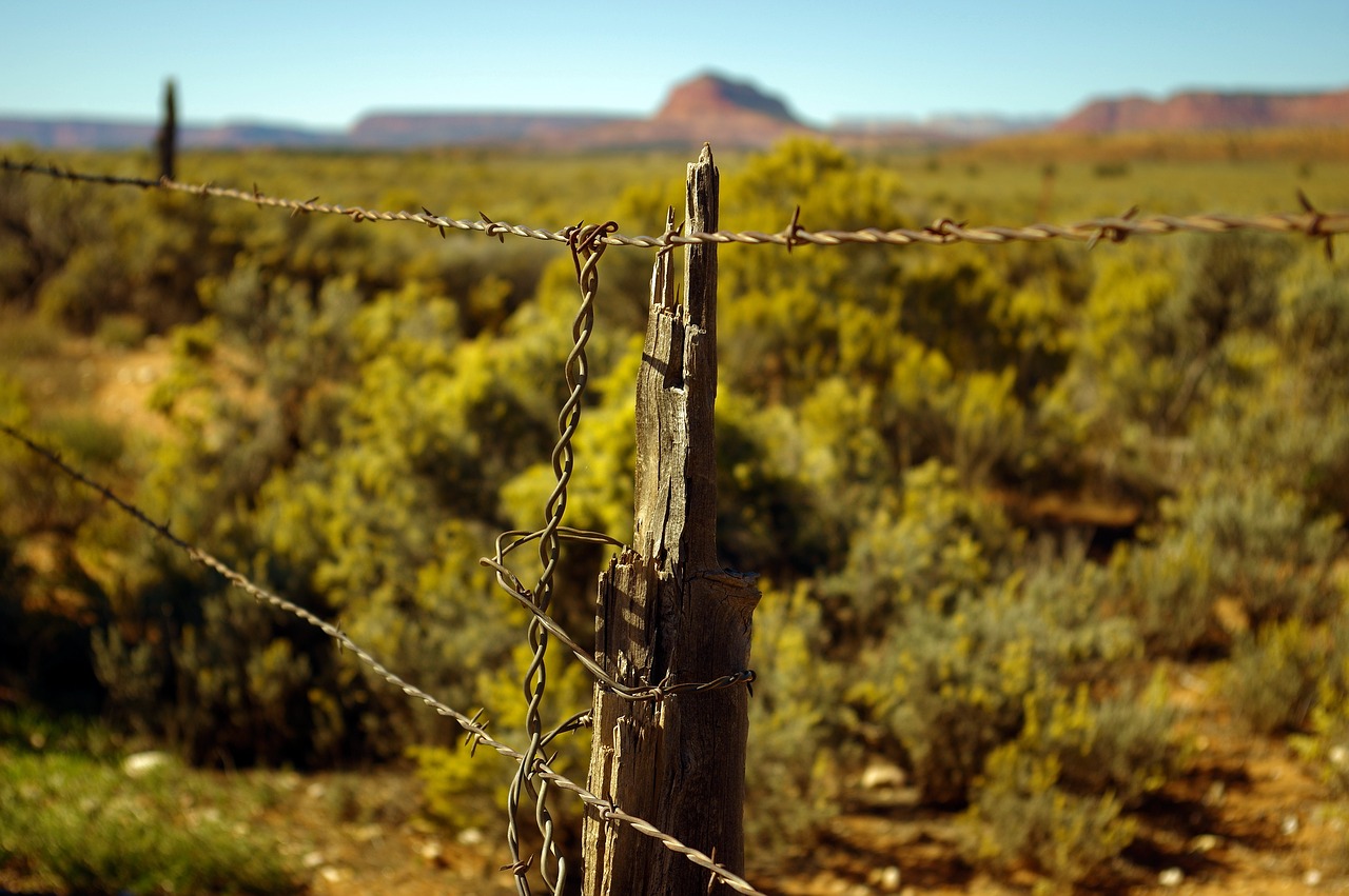 grand staircase escalante fence  fence  barbed free photo