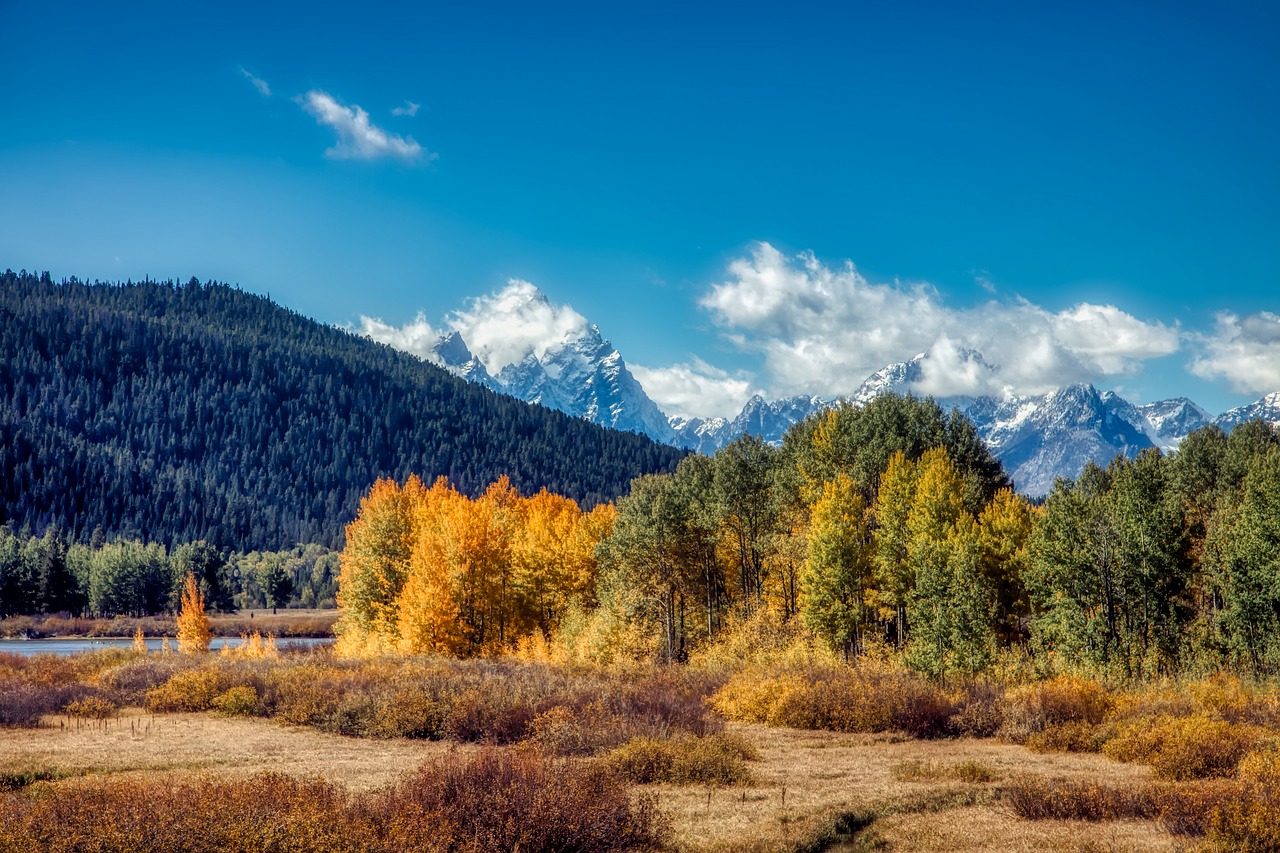 grand teton national park  wyoming  america free photo