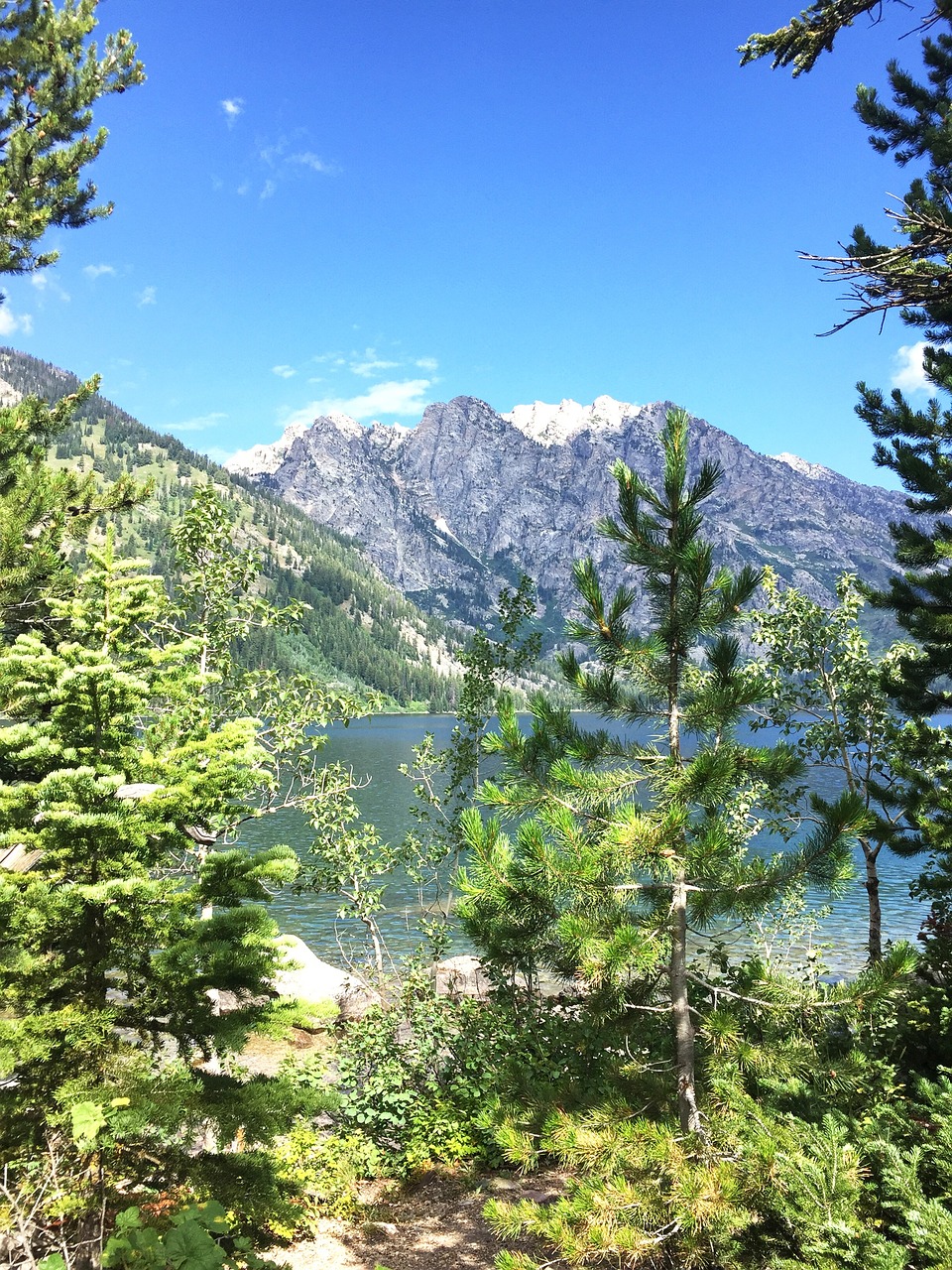 grand tetons lake lake jenny free photo