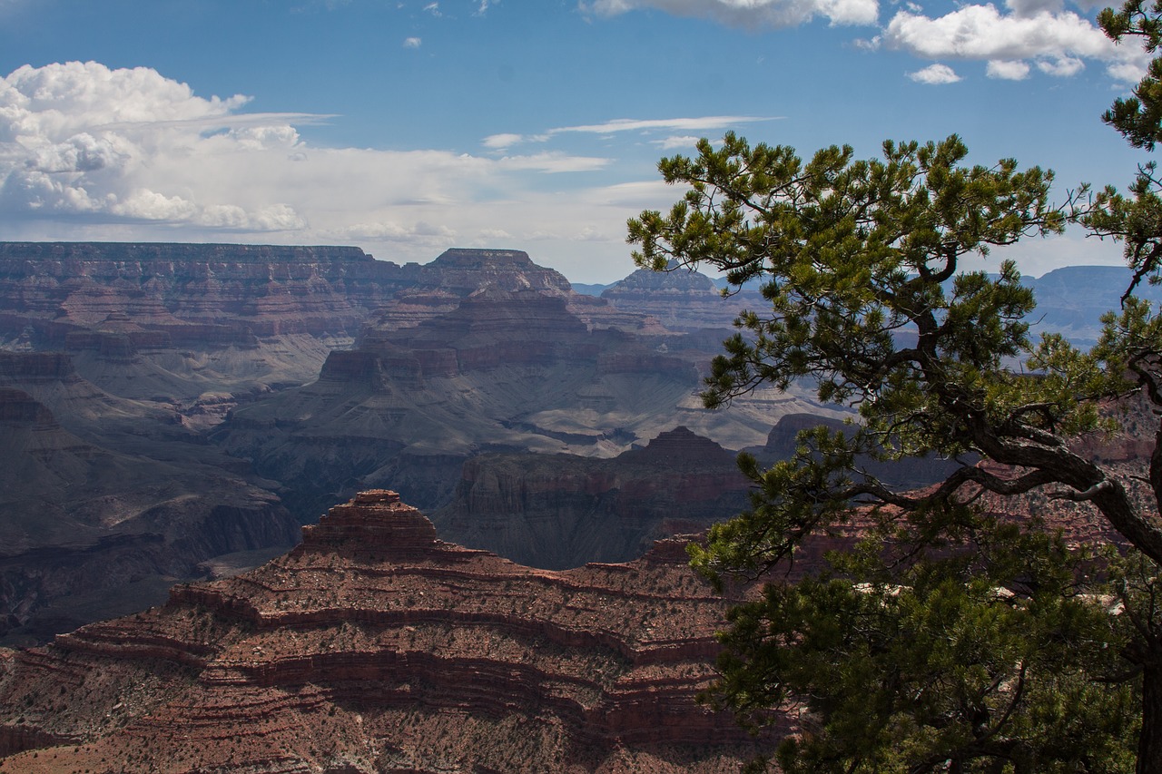 grandcanyon nature landscape free photo