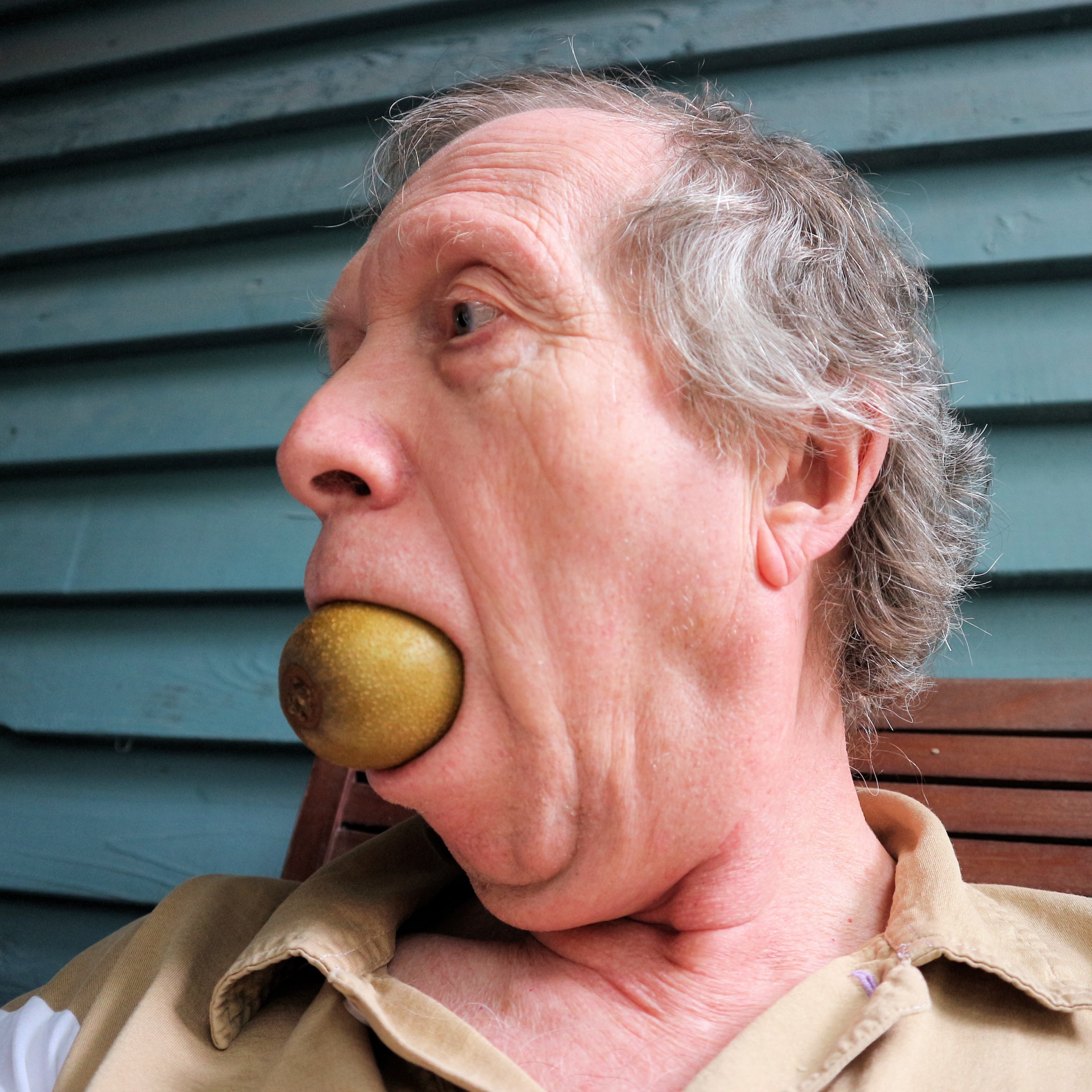 grandpa eating kiwi free photo