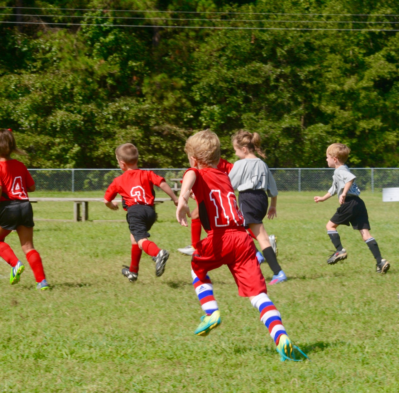 grandson soccer sports free photo