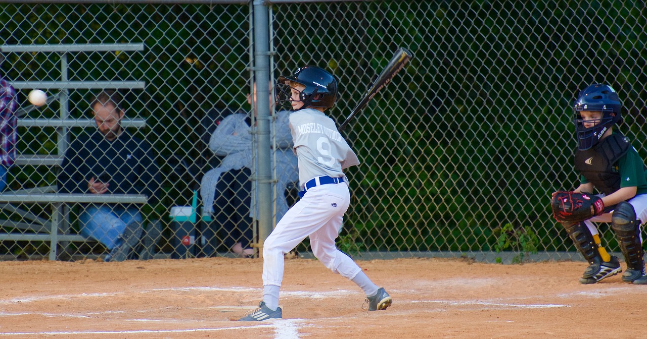 grandson  baseball  boy free photo