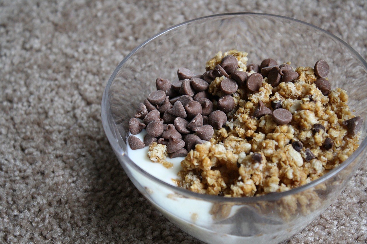 granola chocolate yogurt free photo