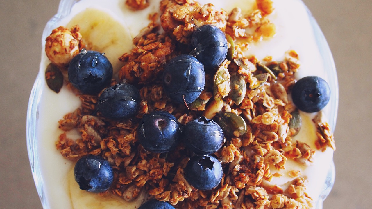 granola breakfast blueberries free photo