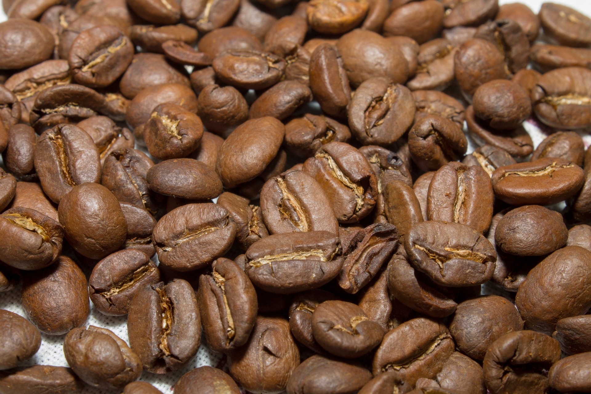 coffee beans brown food free photo