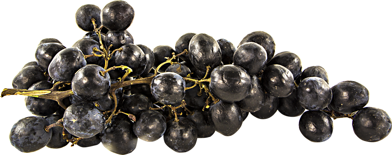 fruit grapes png free photo