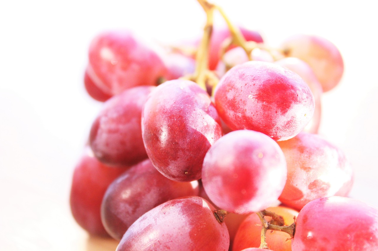 grape the grapes fruit free photo