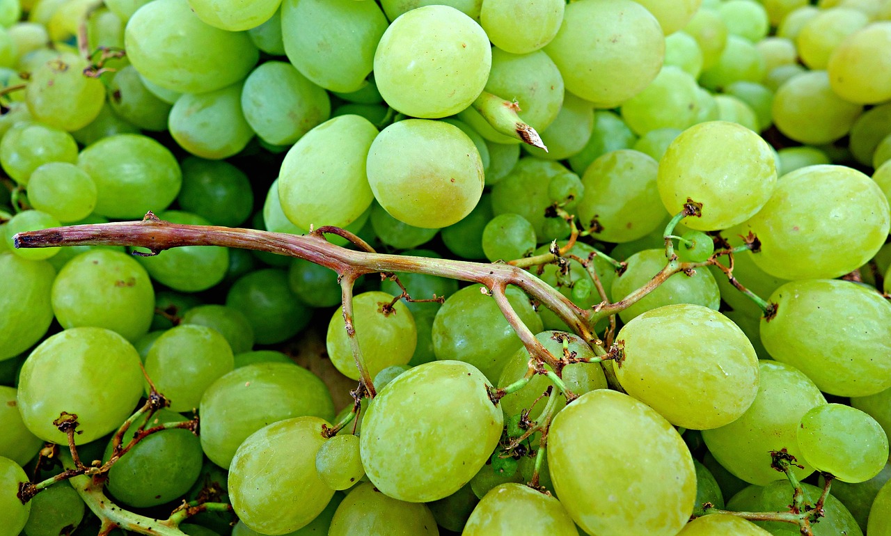 grape fruit fresh free photo