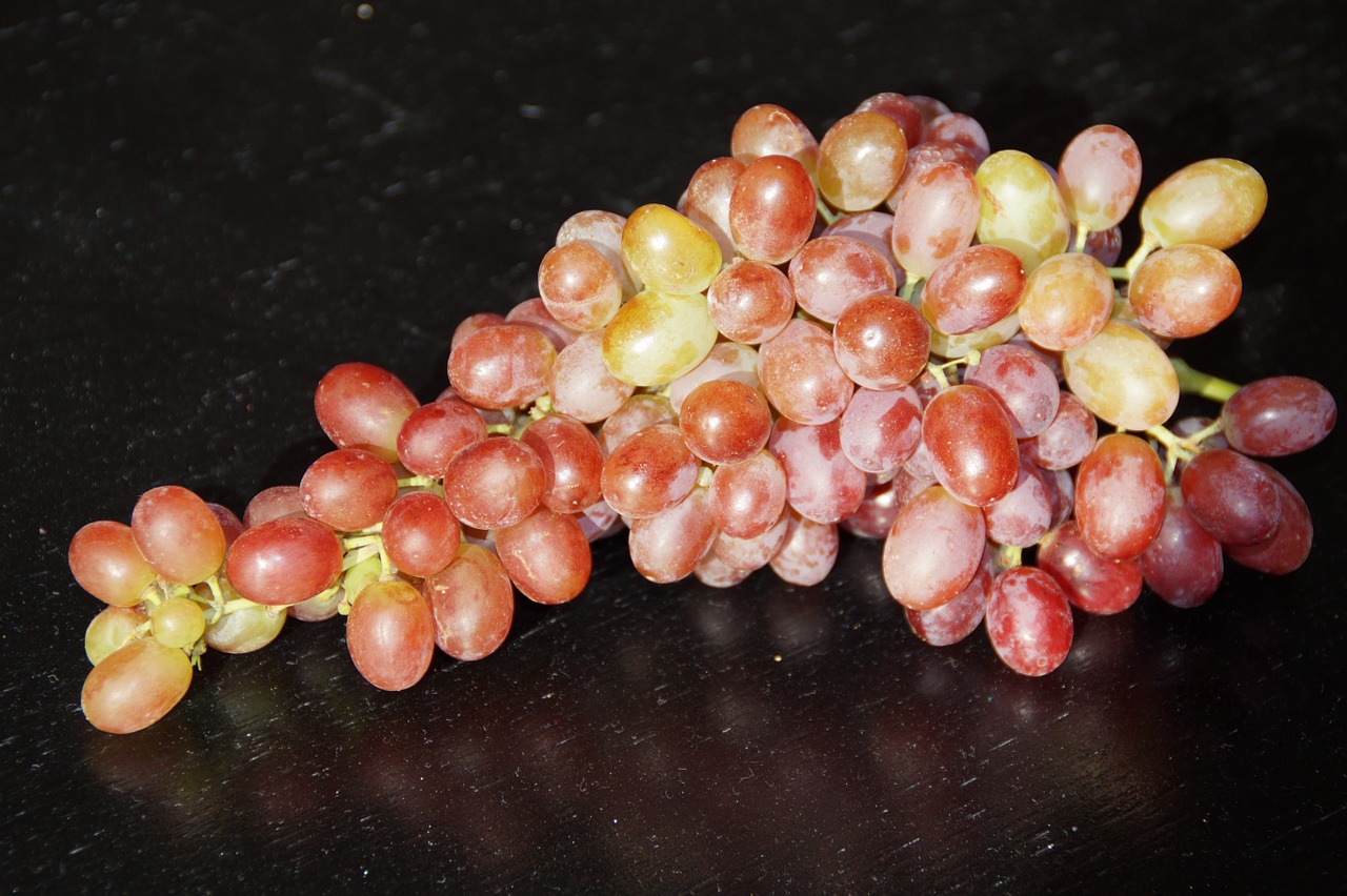 grape grapes autumn free photo