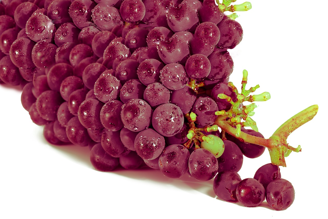 grape red grape fruit free photo