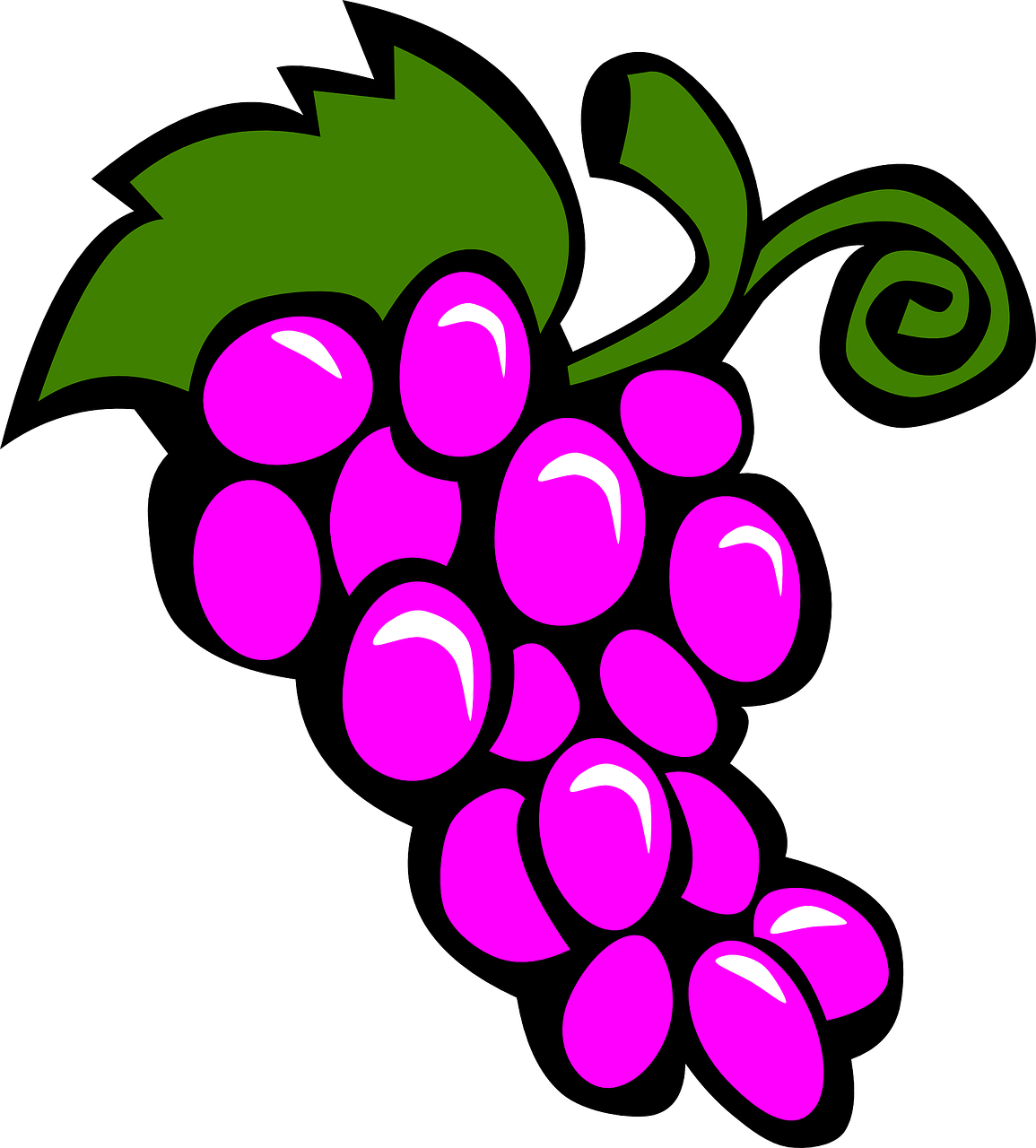 grape purple grapes free photo