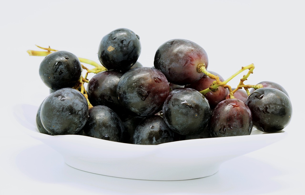 grape fruit table grapes free photo
