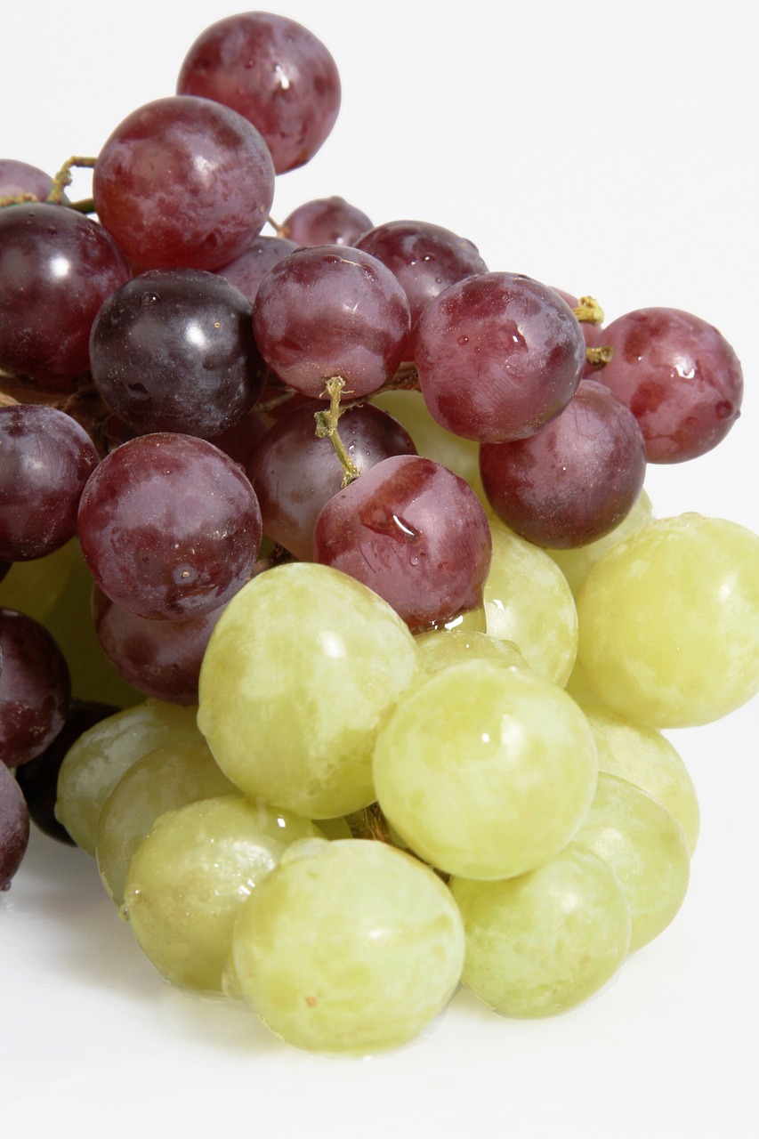 grape grapes fruit free photo