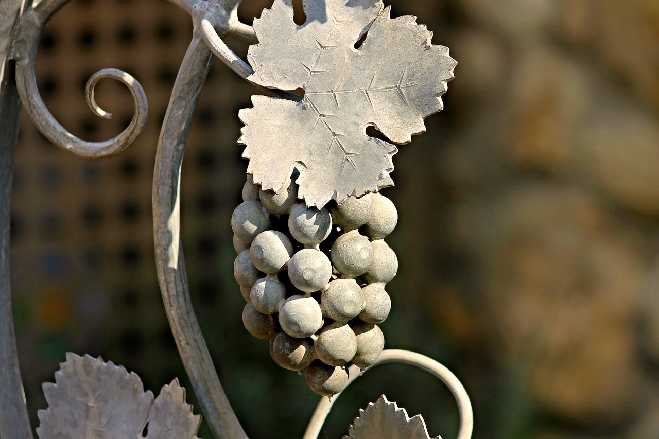 grape wine leaf metal free photo