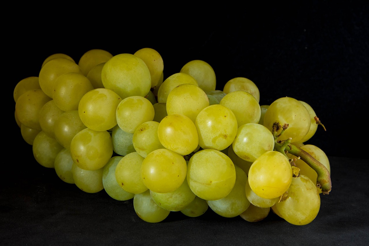 grape fruit vine free photo