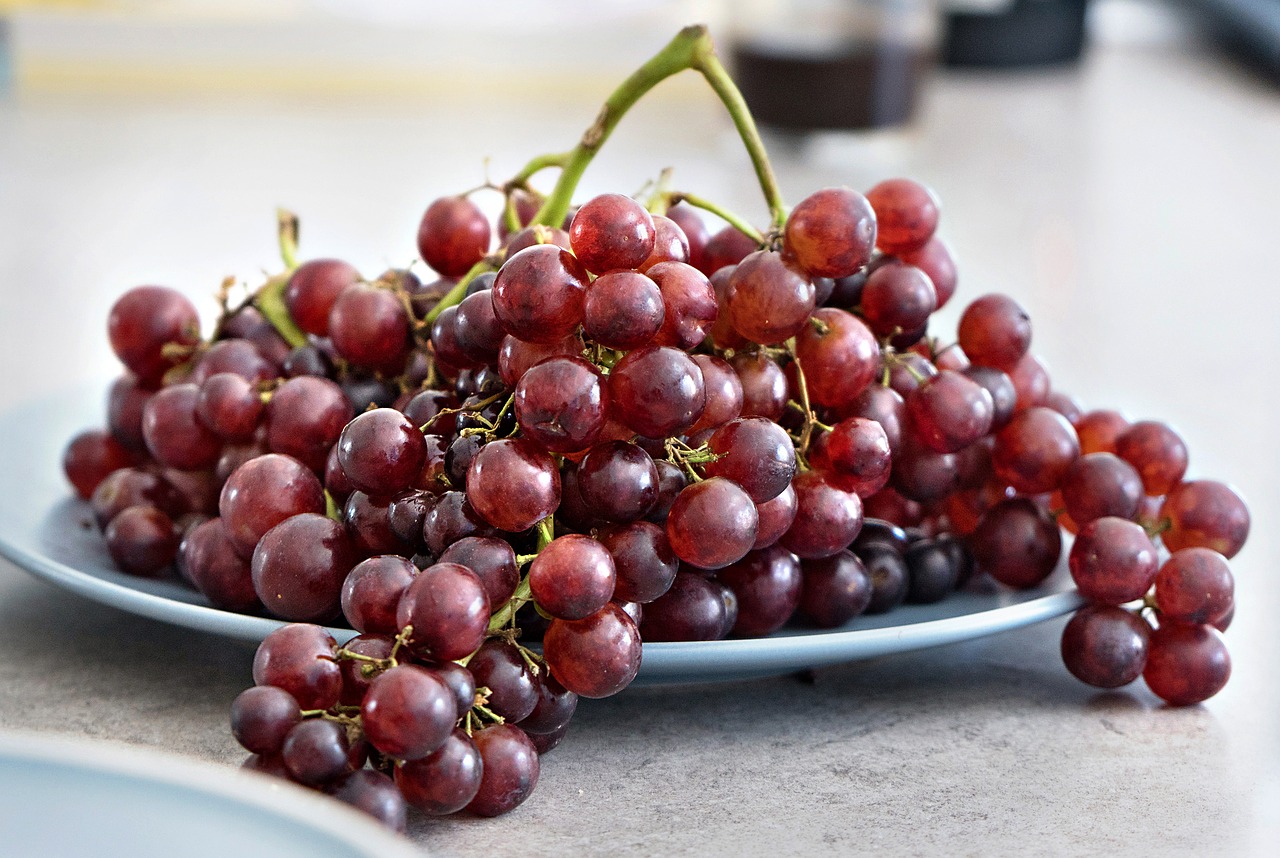 grape fruit fresh free photo