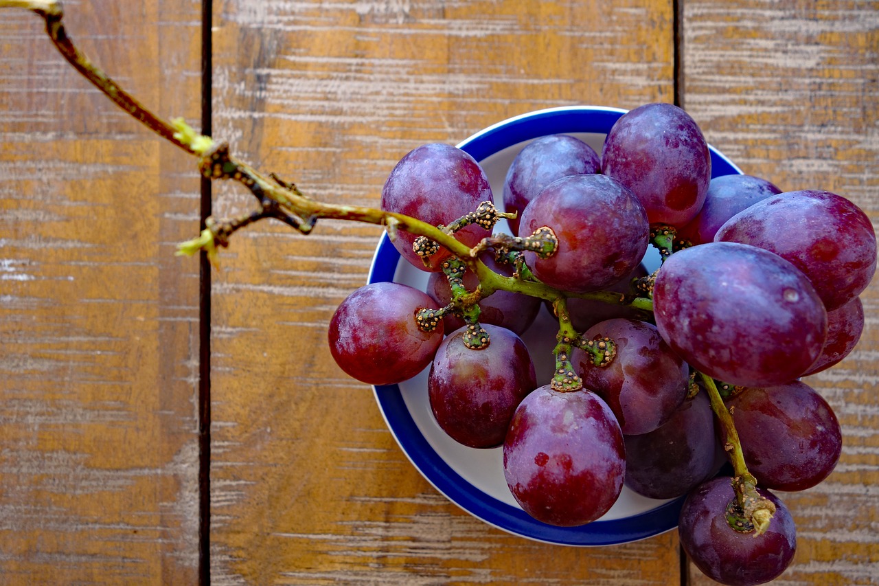 grape  grapes  blue free photo