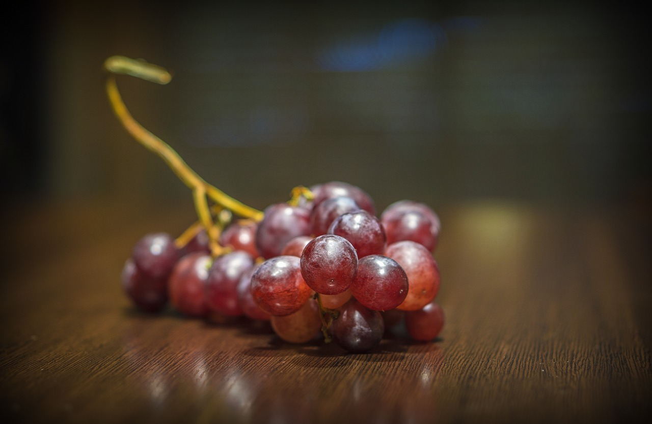 grape  fruit  vine free photo