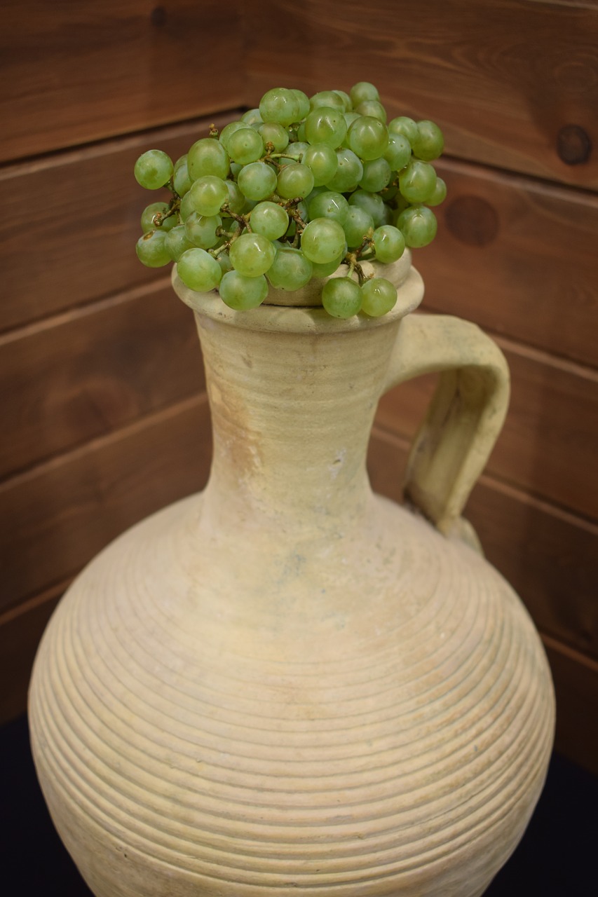 grape  vine  wine free photo