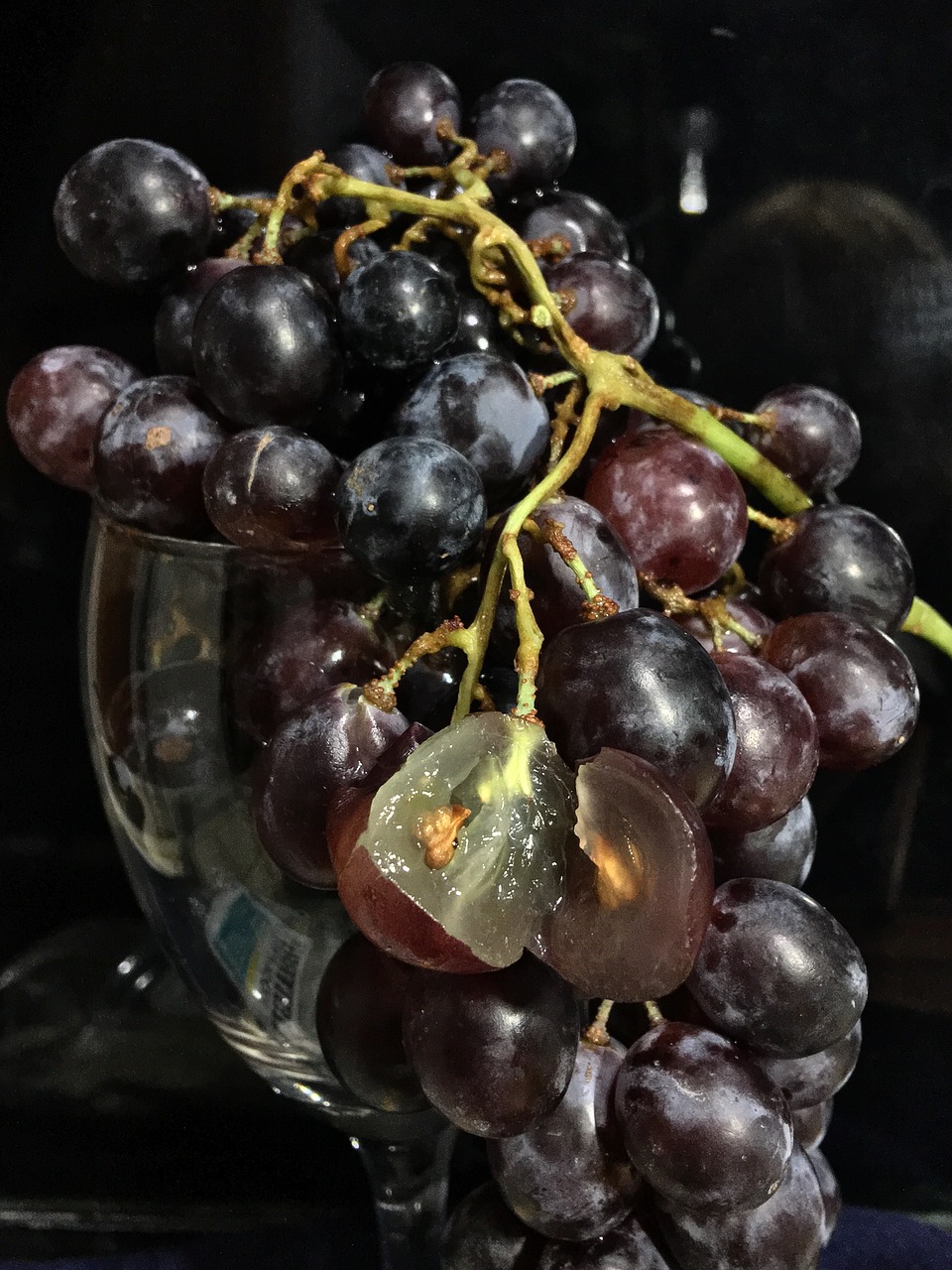 grape  vine  fruit free photo