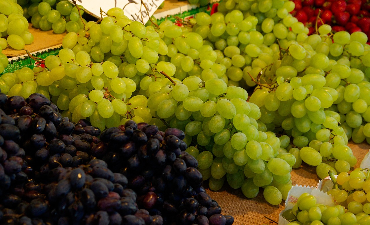 grape vine fruit free photo