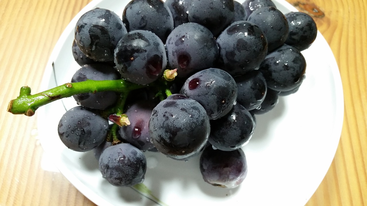 grapes fruit health food free photo