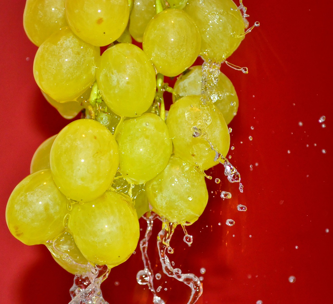 grape cluster grapes pouring water free photo