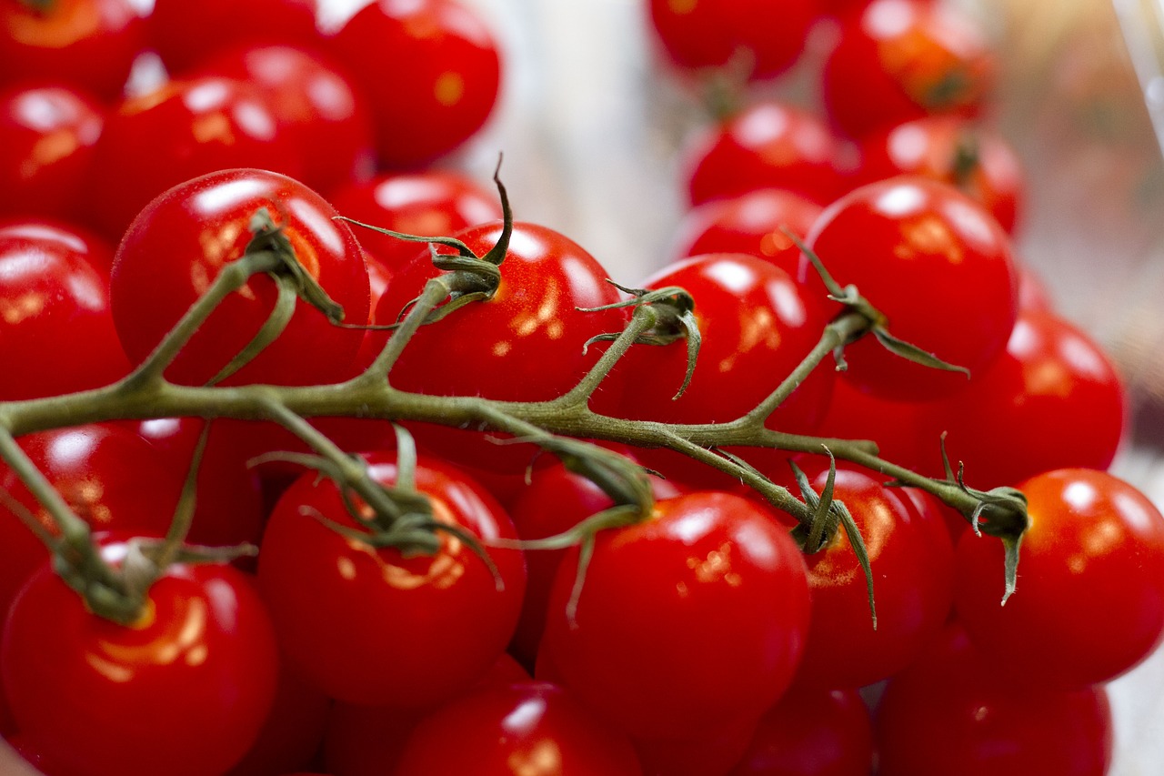 grape tomatoes tomatoes kitchen free photo